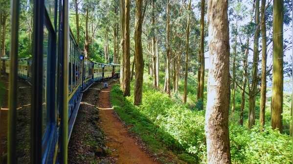 Nilgiri Mountain Railway