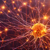 4. Regulate the nervous system daily