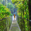 Costa Rica emerges as a surprise performer 