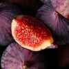 Fig (Anjeer)