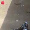 Article image for: 3 Friends Returning To Pune After Ladakh Trip Die As Fortuner Falls Off Flyover In <i class="tbold">Rajasthan</i>