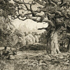 Article image for: The ‘Forest of Arden’ as freedom