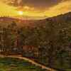 Wayanad – For forests, waterfalls, and wildlife