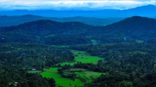 Coorg (Kodagu) - For coffee, mist, and slow living