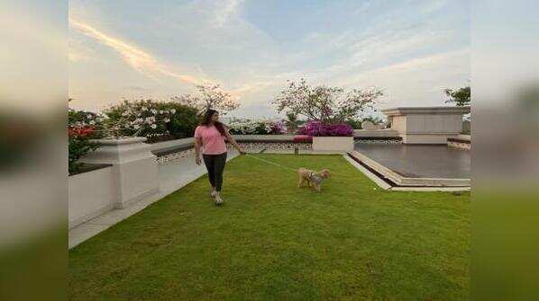 Location advantage: Rajinikanth as neighbour