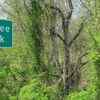 Article image for: Pee Pee Township, USA