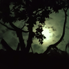 Article image for: <i class="tbold">halloween</i> night terror