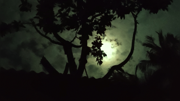 Halloween night terror