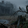 Mockingbird’s last song