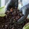 Vermicompost