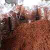 Coco Peat