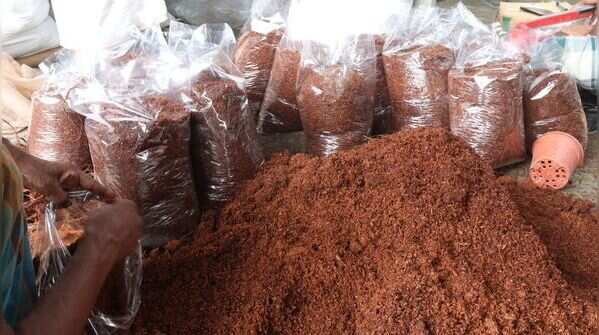 Coco Peat