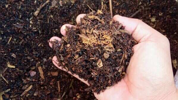 Compost