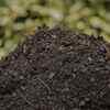 Article image for: 5 essential <i class="tbold">soil</i> nutrients to help your balcony plants live longer
