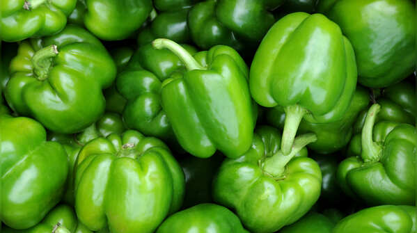 Capsicum (Shimla Mirch)