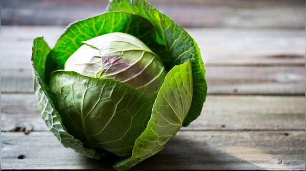 Cabbage (Patta Gobhi)