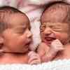 Vian & Vihana