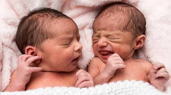 Vian & Vihana