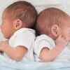 Article image for: <i class="tbold">Dhruvan</i> & Dhruvika