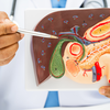 Food choices that help the liver heal