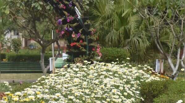 Rich plant collection maintained