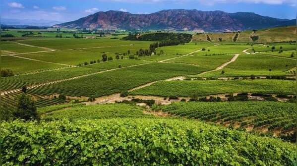 World-class wine regions
