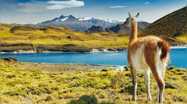 5 reasons why everyone is talking about Chile right now