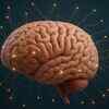 Your brain registers 11 million bits of information every second