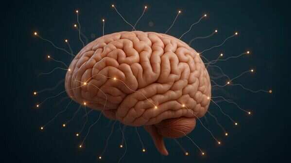 Your brain registers 11 million bits of information every second