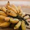 Bananas share about 60 per cent of the same DNA as humans