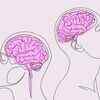 Men’s brains may be bigger, but women’s brains are more efficient