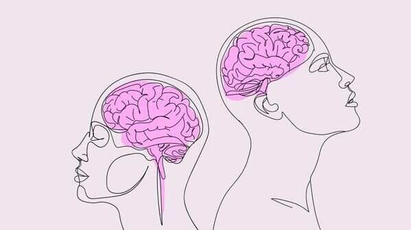 Men’s brains may be bigger, but women’s brains are more efficient