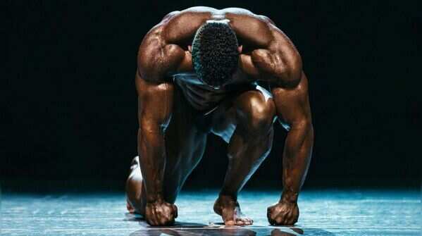 The human body has over 640 muscles