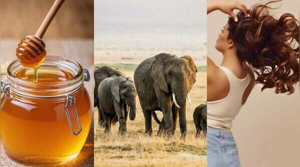 14 scientific facts you probably didn't know