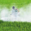 Article image for: Iran shock hits fertilizer supply. But the answer may be up in the air