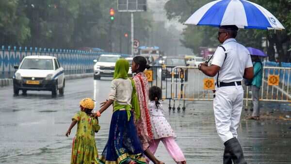 Rain Stills