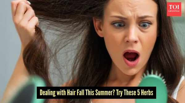 Stop Summer Hair Fall with These 5 Natural Herbs