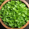 Brahmi: The Scalp Chill Pill