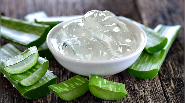 Aloe Vera: The Thirst Quencher