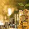  What Debts and Assets Do You Bring?