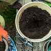 Article image for: Fill it with light, well-draining <i class="tbold">soil</i>