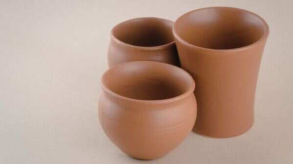 Use the right pot size with drainage holes