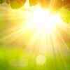 Article image for: Choose a bright, sunny <i class="tbold">spot</i>