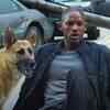 Article image for: 'I Am Legend' (2007)