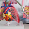 How big of a challenge is drug-resistant TB today, and what does it mean for treatment outcomes?