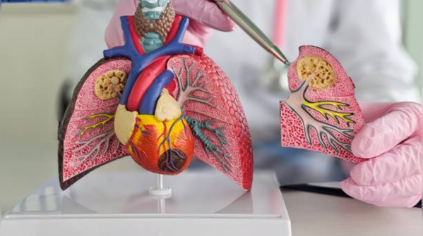 How big of a challenge is drug-resistant TB today, and what does it mean for treatment outcomes?