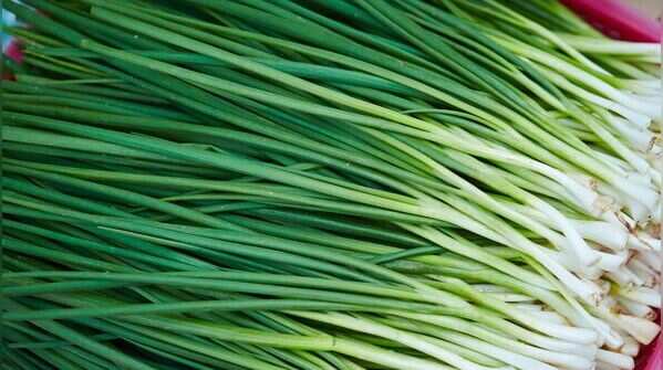 Chives