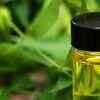 Article image for: Use neem oil or insecticidal <i class="tbold">soap</i> carefully