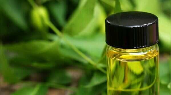 Use neem oil or insecticidal soap carefully