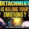 Article image for: Are You Losing Feelings Due to Detachment? Nityananda Charandas Explains Truth